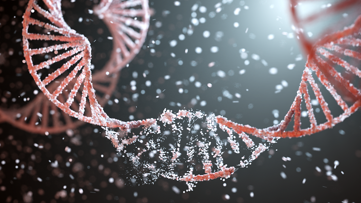 DNA Helix