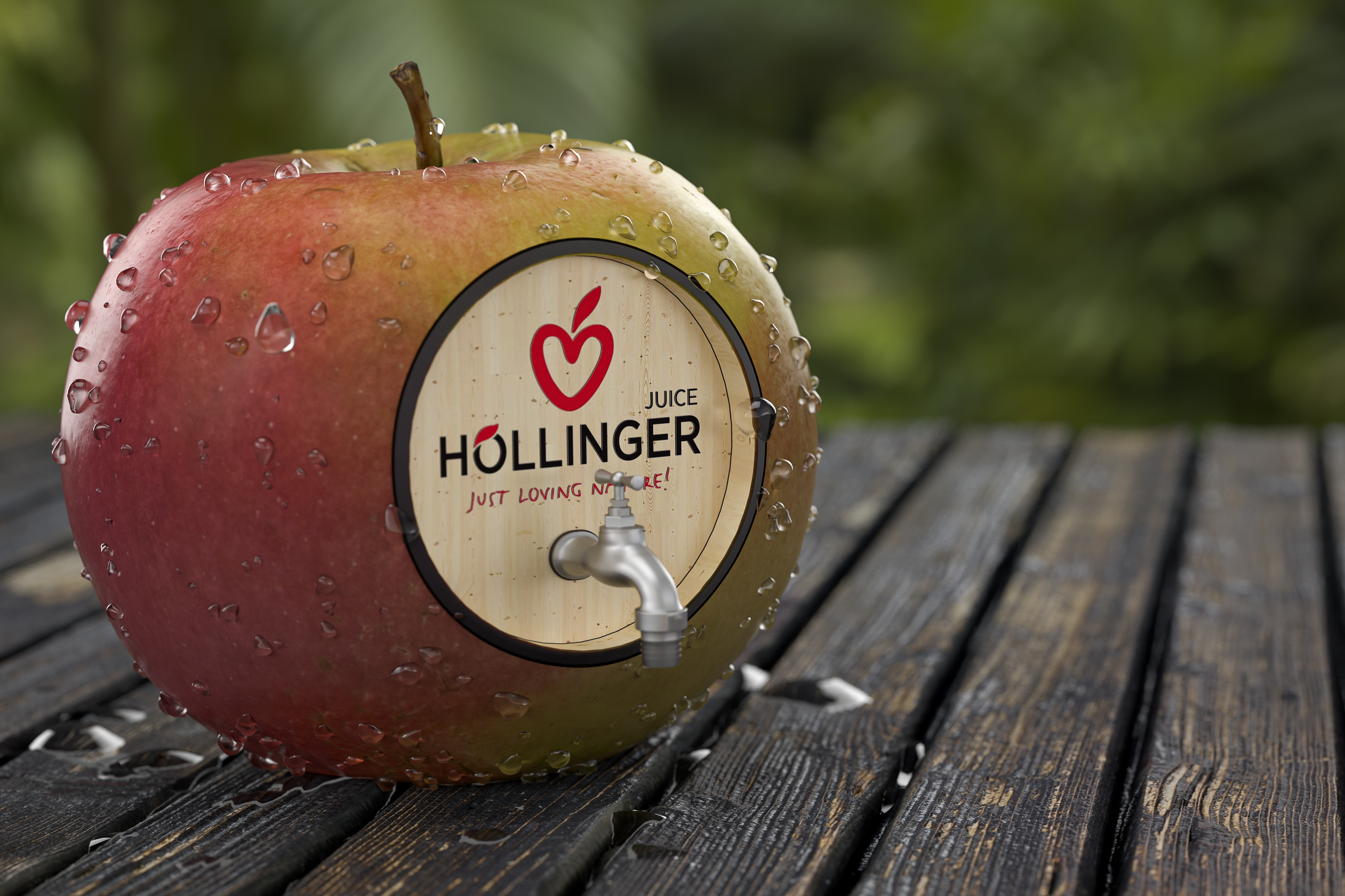 Höllinger CGI